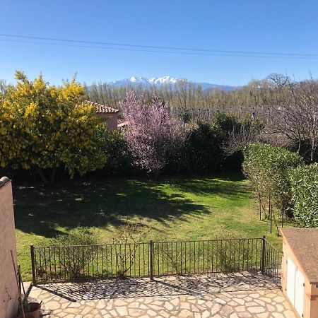 Au Mimosa -Gite Le Canigou Passa Luaran gambar