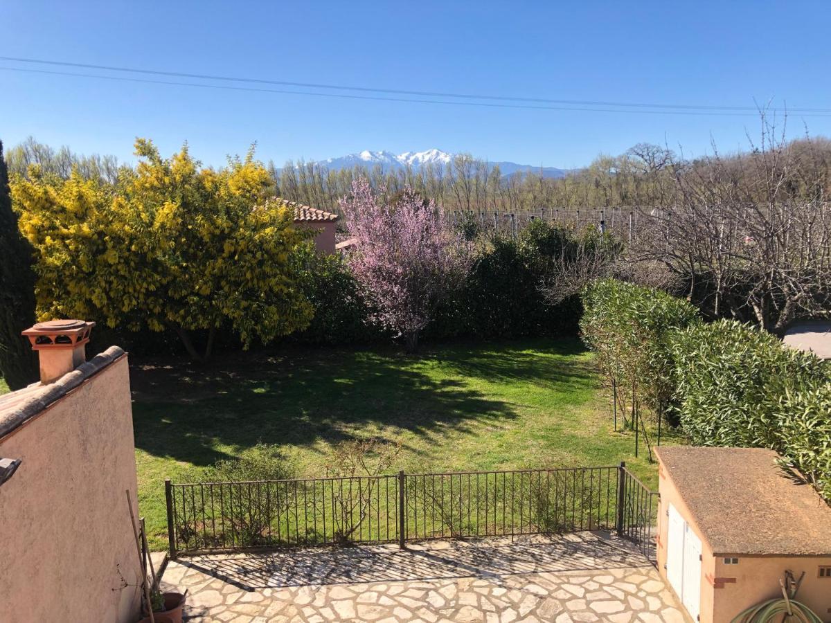 Au Mimosa -Gite Le Canigou Passa Luaran gambar