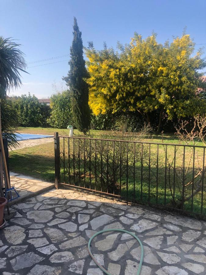Au Mimosa -Gite Le Canigou Passa Luaran gambar